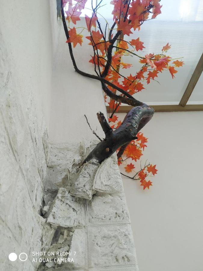 Aurisa Apartment Bari Luaran gambar